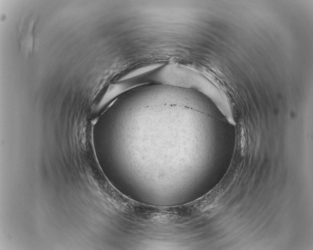 X0000087390504200705042014