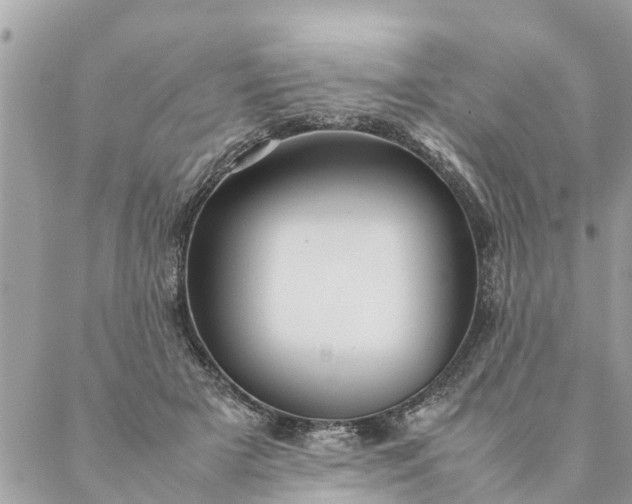 X0000087390505200705042014