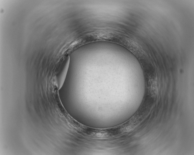 X0000087390506200705042014