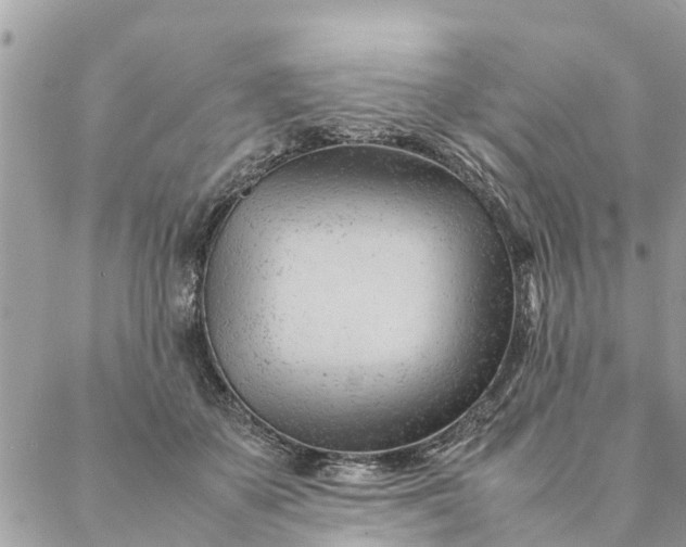 X0000087390507200705042014