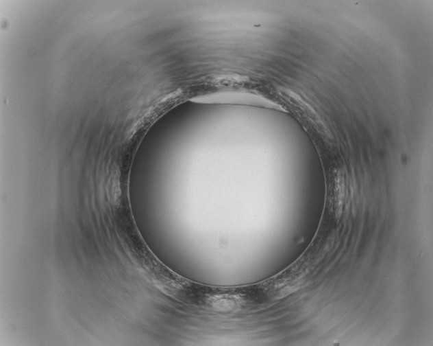 X0000087390508200705042014