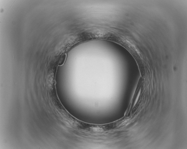 X0000087390509200705042014