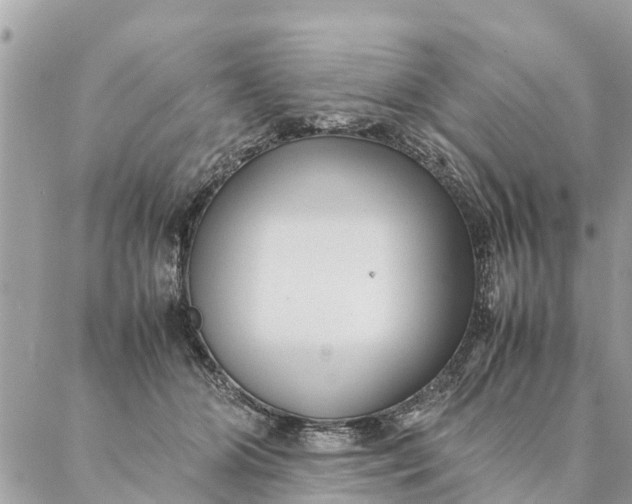 X0000087390510200705042014