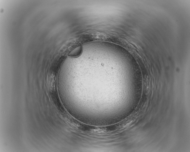 X0000087390511200705042014