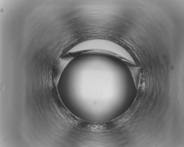 X0000087390512200705042014