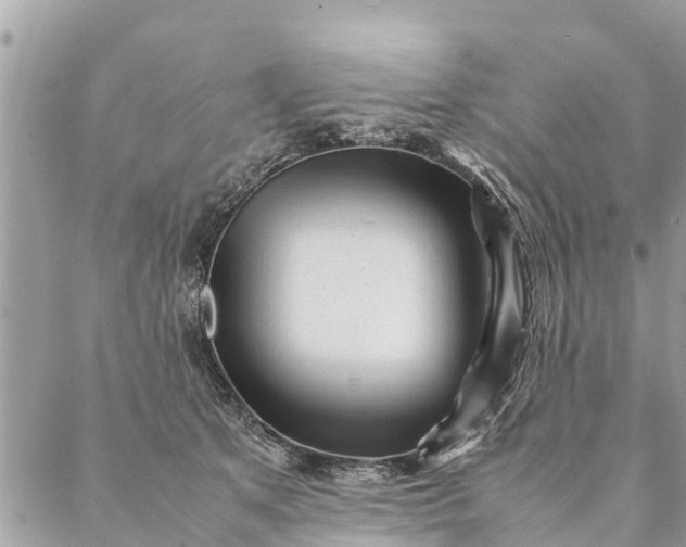 X0000087390513200705042014