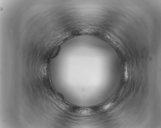 X0000087390514200705042014