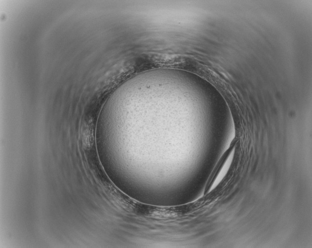 X0000087390515200705042014