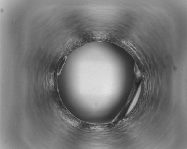 X0000087390516200705042014