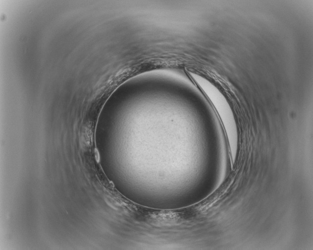 X0000087390517200705042013