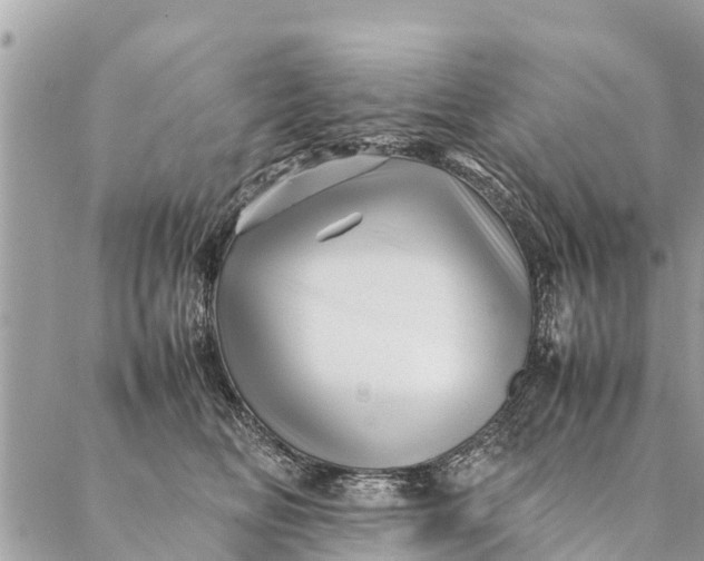 X0000087390518200705042013