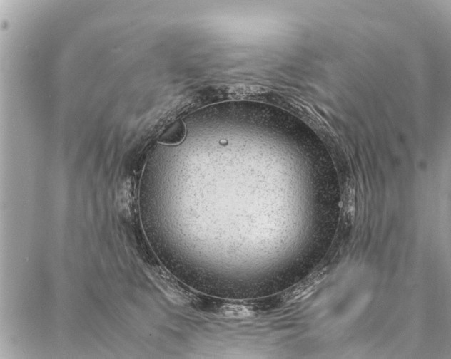 X0000087390519200705042013