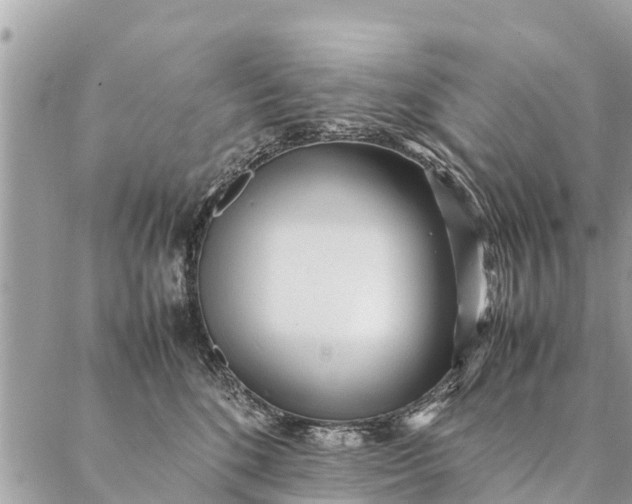 X0000087390520200705042013