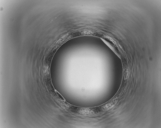 X0000087390521200705042013