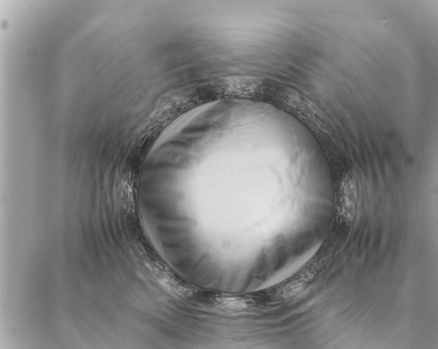 X0000087390522200705042013