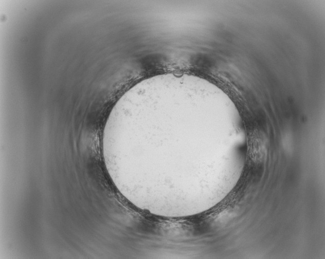 X0000087390523200705042013