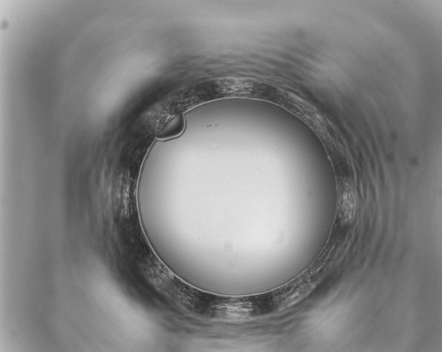 X0000087390525200705042013