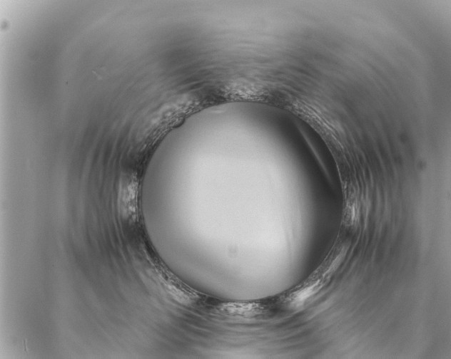 X0000087390526200705042013