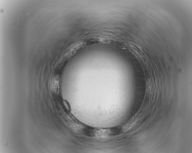 X0000087390527200705042013