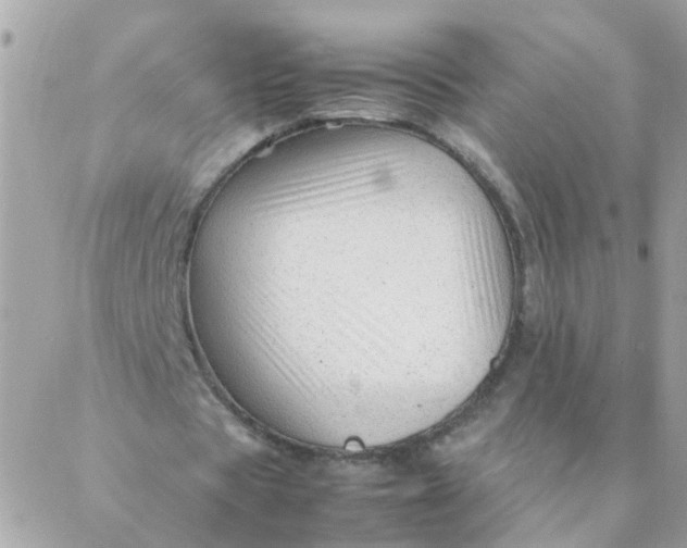 X0000087390529200705042013