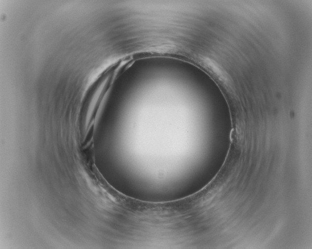 X0000087390532200705042013