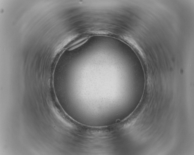 X0000087390533200705042013