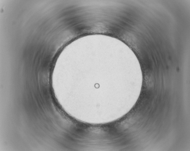 X0000087390534200705042013