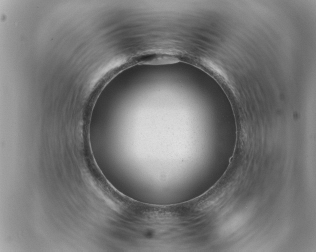 X0000087390535200705042013