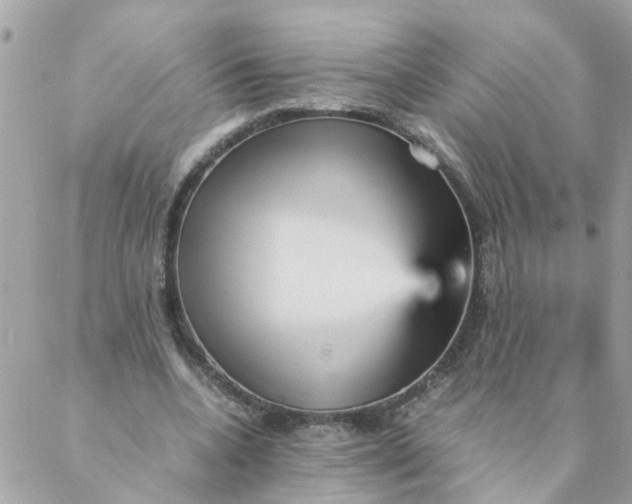 X0000087390536200705042013