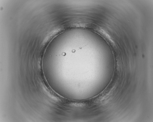 X0000087390537200705042013