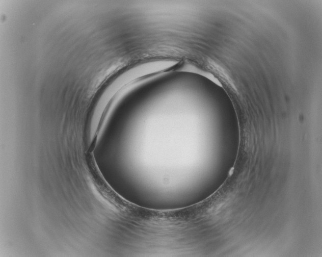 X0000087390538200705042013