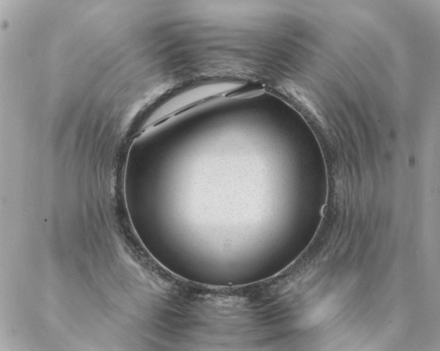 X0000087390539200705042013