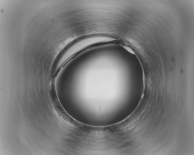 X0000087390540200705042013