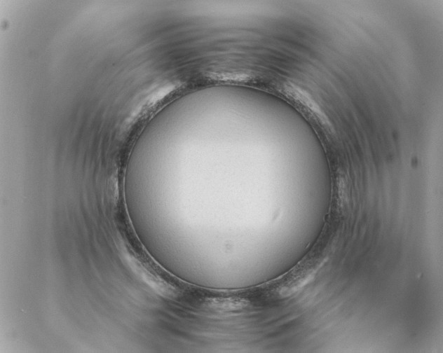 X0000087390541200705042013