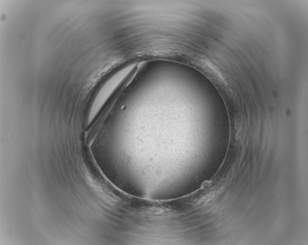 X0000087390542200705042013