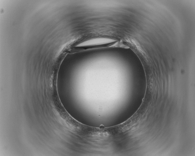 X0000087390543200705042013