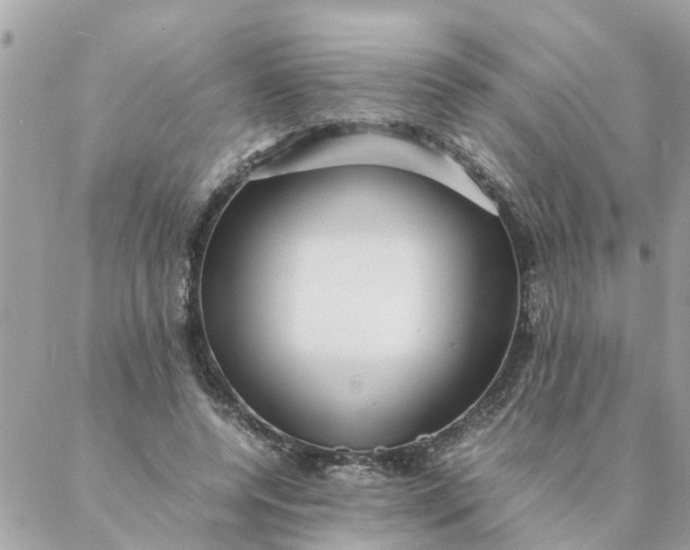 X0000087390544200705042013