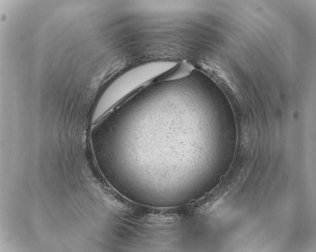 X0000087390545200705042013