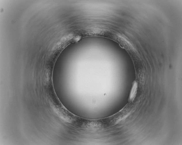 X0000087390546200705042013