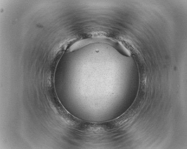 X0000087390547200705042013