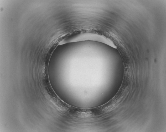 X0000087390548200705042013