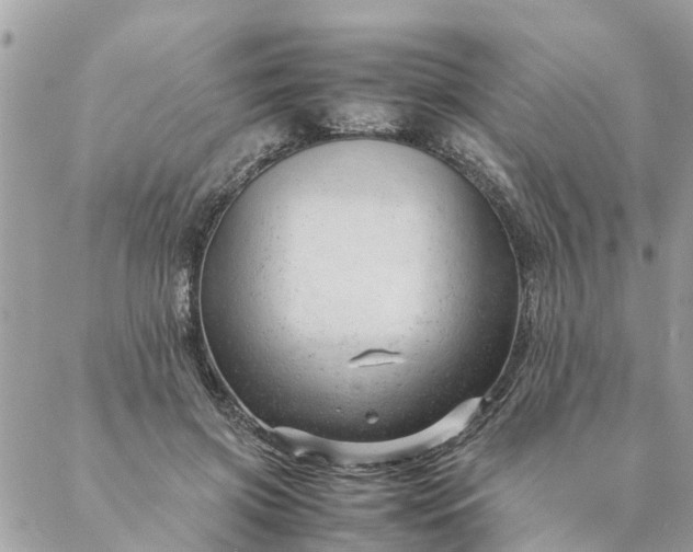 X0000087390549200705042013