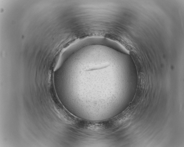 X0000087390550200705042013