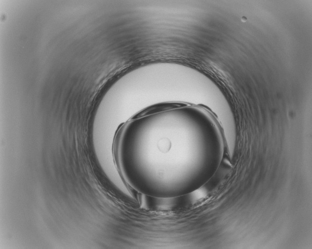 X0000087390552200705042013