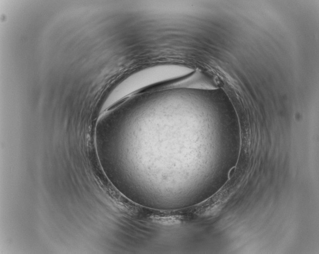 X0000087390553200705042013