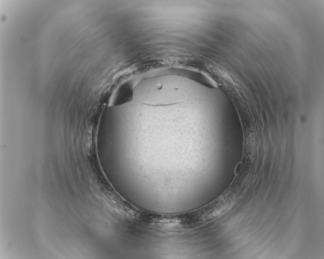 X0000087390554200705042013