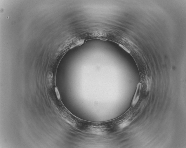 X0000087390556200705042013