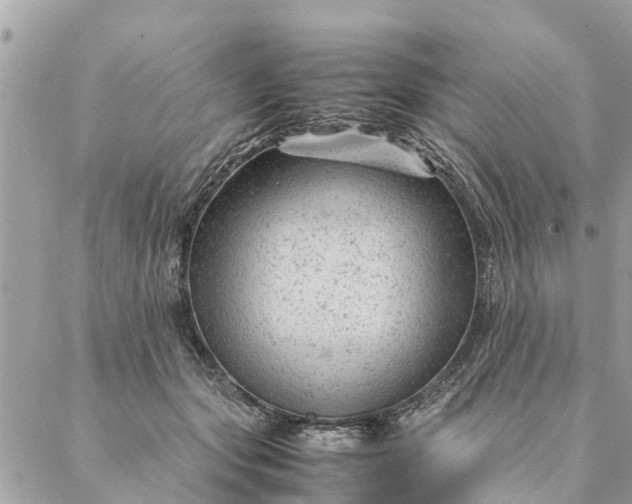 X0000087390557200705042013