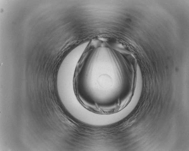 X0000087390558200705042013