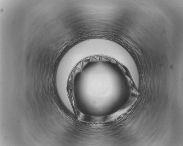 X0000087390560200705042013